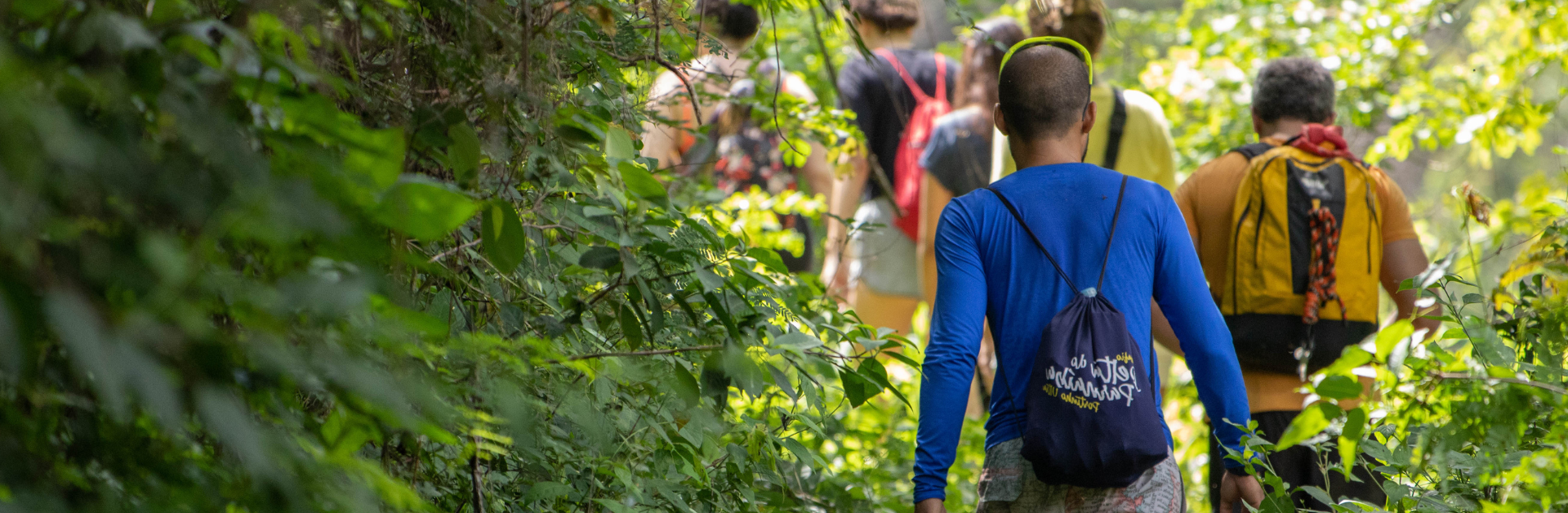 People walking along a wooded path